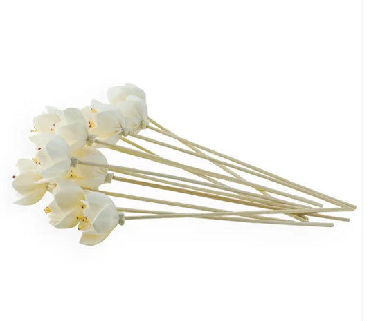 Flower Diffuser Reeds