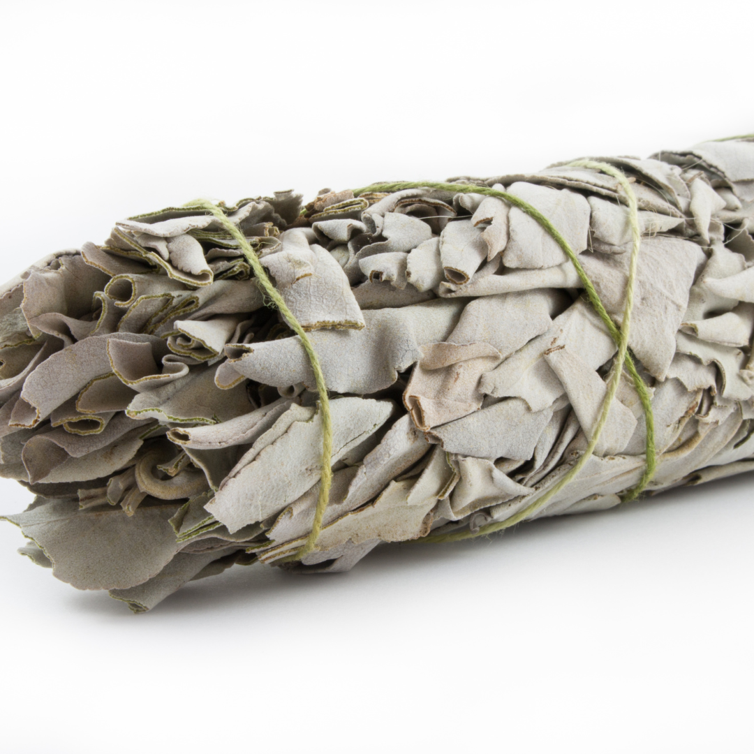 Sage